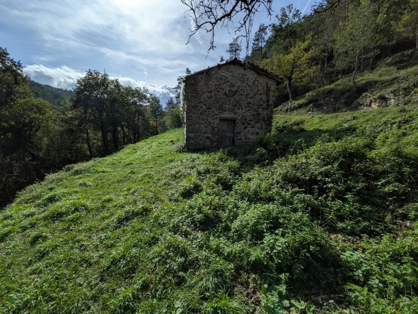 Vista exterior de Finca rústica en venta en Sant Joan de les Abadesses, Girona