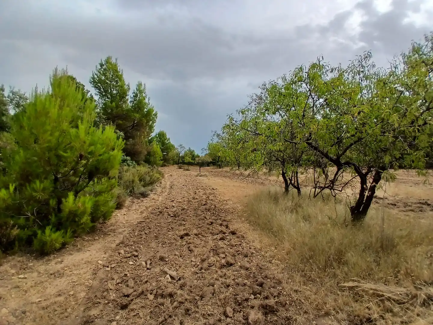Terreno rustico in vendita a La Fresneda, imagen 6