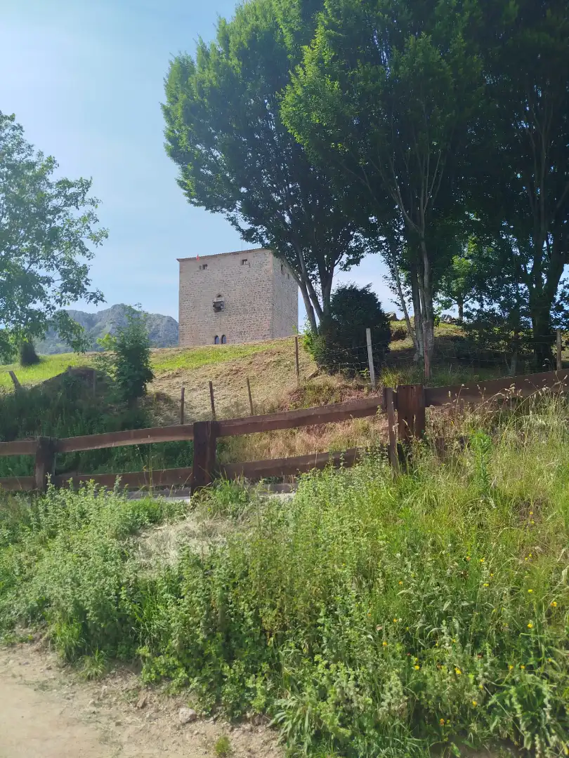 Casa o chalet en venta en Rionansa