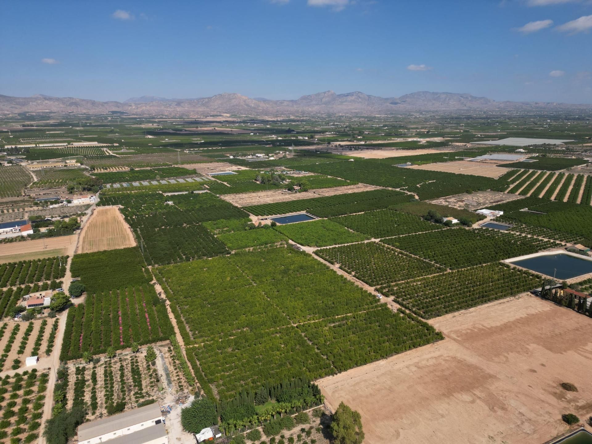 Exterior view of Land for sale in Orihuela