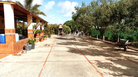 Foto 5 de Finca rústica en venta en Polígono 15 Paraje 286 Reyertas, La Jara, Sanlúcar de Barrameda