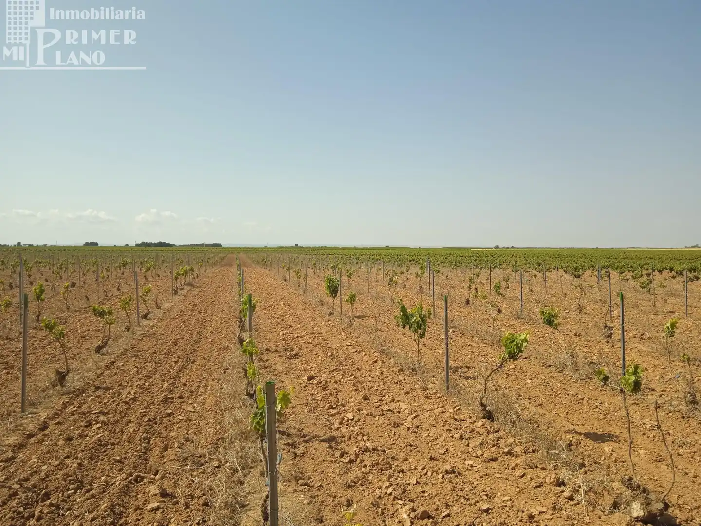 Terrenos y solares en venta en Socuéllamos, imagen 7