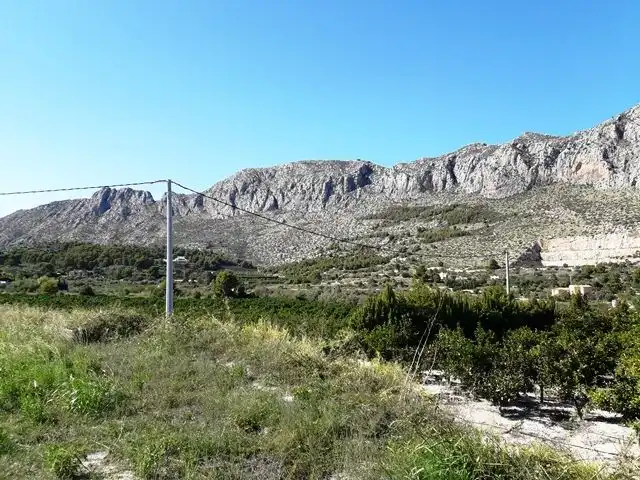 Terreny rústic en venda a Ondara, imagen 8