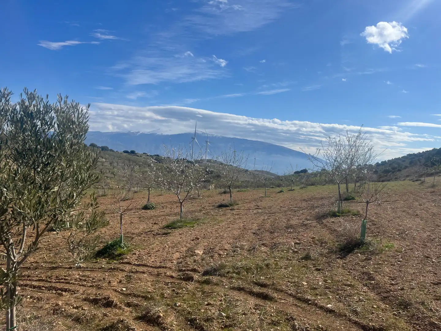 Rustikales Grundstück zum Verkauf in Camino de la Sierra, imagen 11