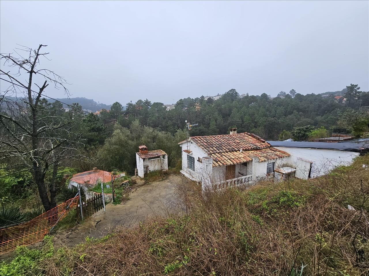 Vista exterior de Casa o xalet en venda en Riudarenes
