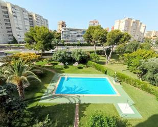 Swimming pool of Flat to rent in Alicante / Alacant  with Air Conditioner and Terrace