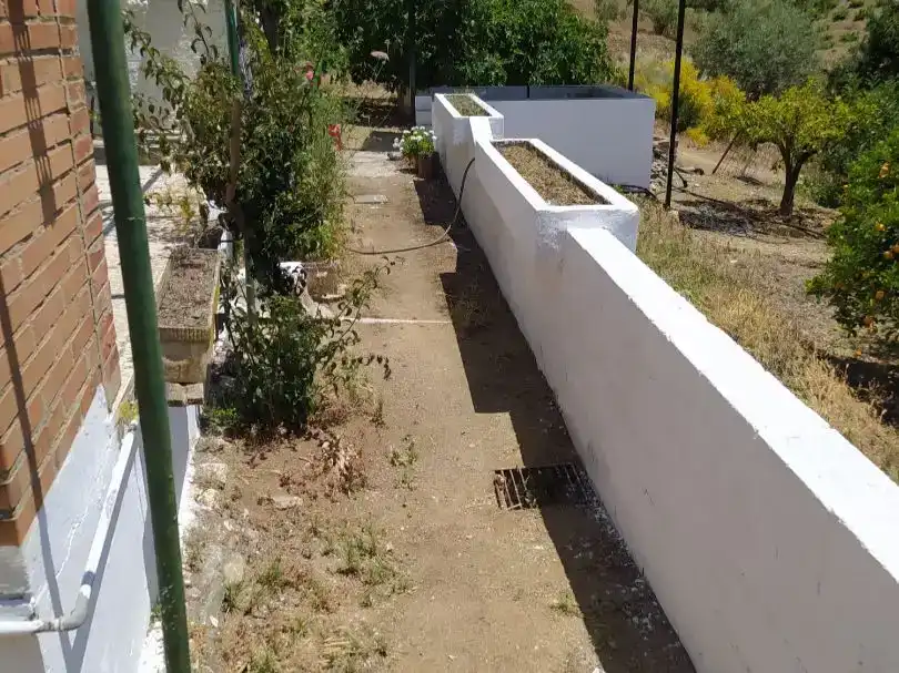 Jardí de Finca rústica en venda en Sedella