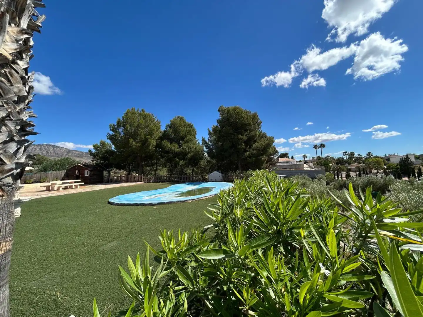 Villa avec piscine à vendre à Albatera, imagen 16
