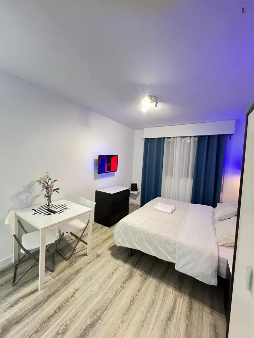 Estudio en alquiler en Chamberí, imagen 2