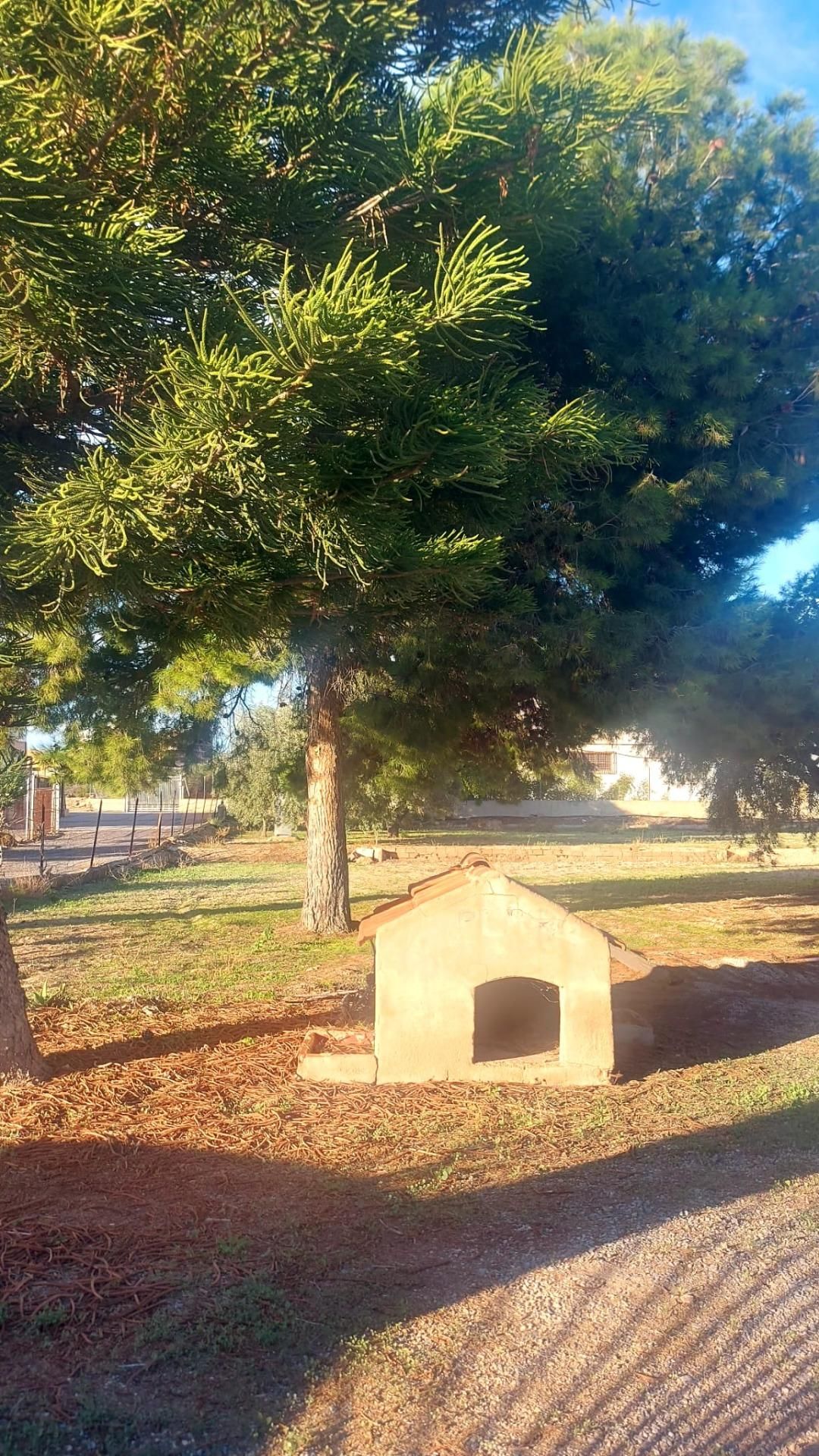 House or chalet for sale in Elche / Elx