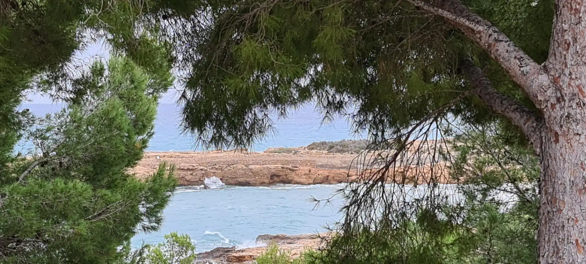 Casa o xalet en venda en L'Ametlla de Mar  amb Aire condicionat, Calefacció i Jardí privat