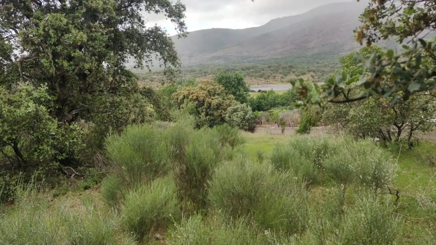 Terreni e lotti in vendita a Valle del Jerte, imagen 6
