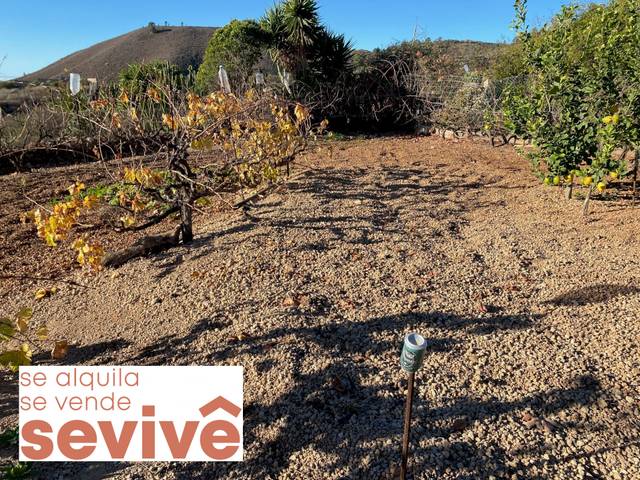 Terreno residencial en Venta en Charco del Pino