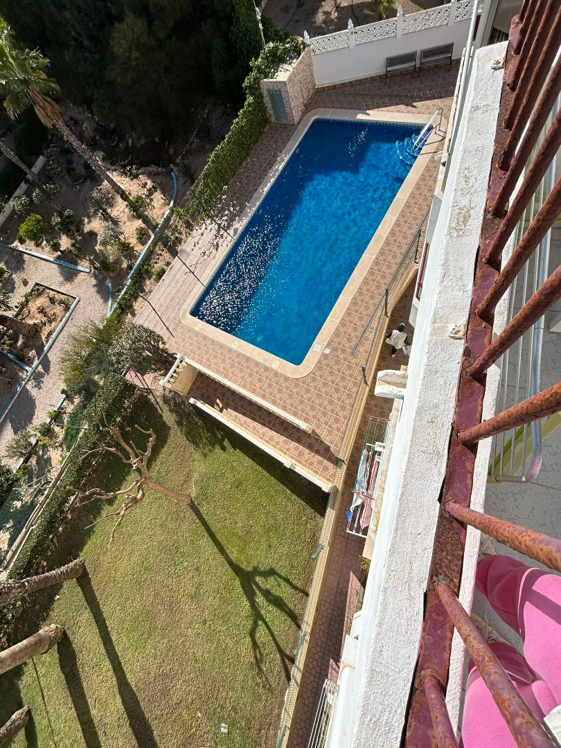 Swimming pool of Study for sale in Torrevieja  with Furnished