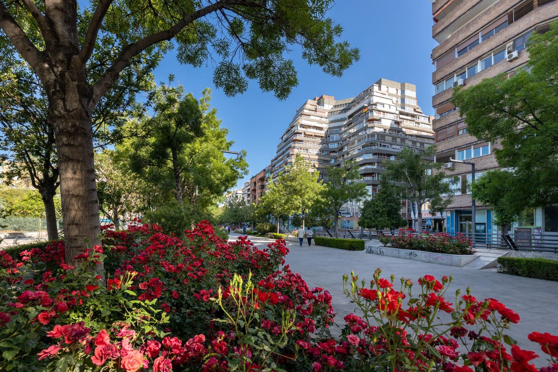 Piso en venta en Plaza de Toros, Beiro