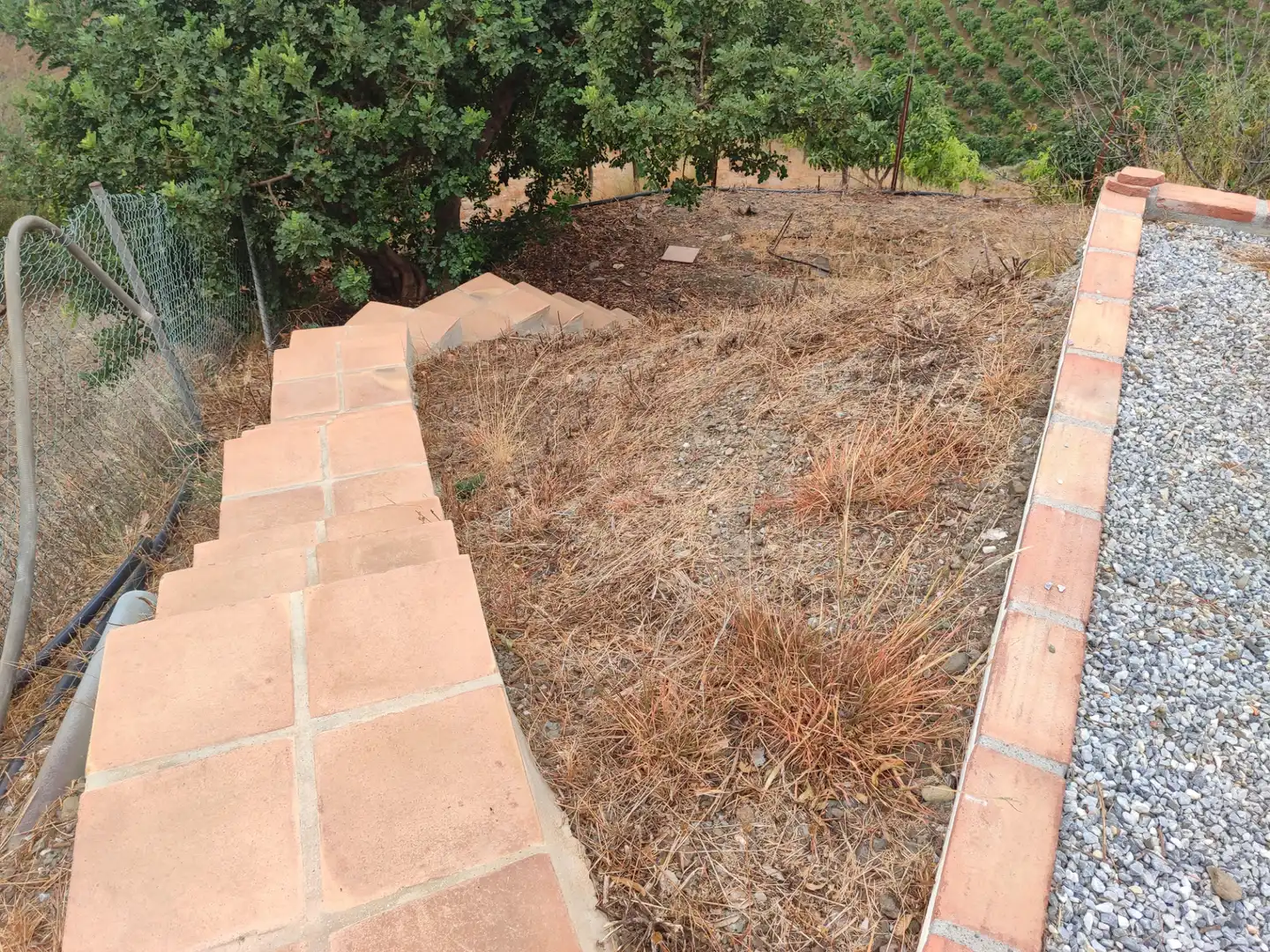Jardín de Finca rústica en venta en Vélez-Málaga con Jardín privado, Terraza y Piscina