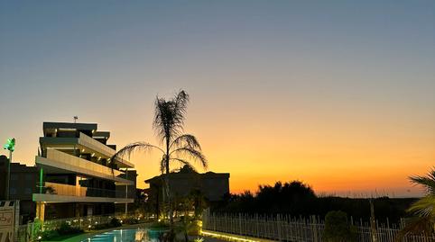 Foto 5 de Planta baja en venta en El Palmar - Los Molinos, Alicante