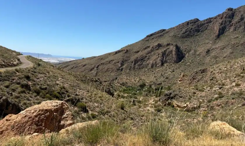 Terreny rústic en venda a Camino de Huebro, imagen 10