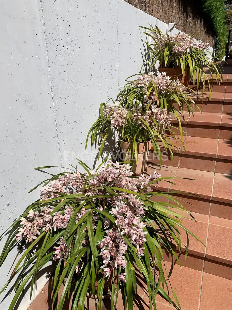 House with garden for sale in Santa Maria Balis - Can Riera - Can Jordi, imagen 19