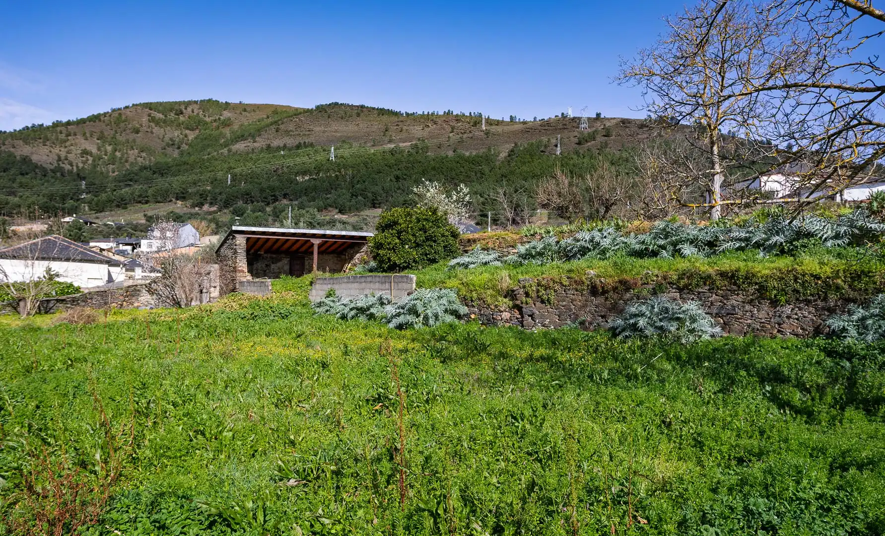 Finca rústica en venta en A Rúa 