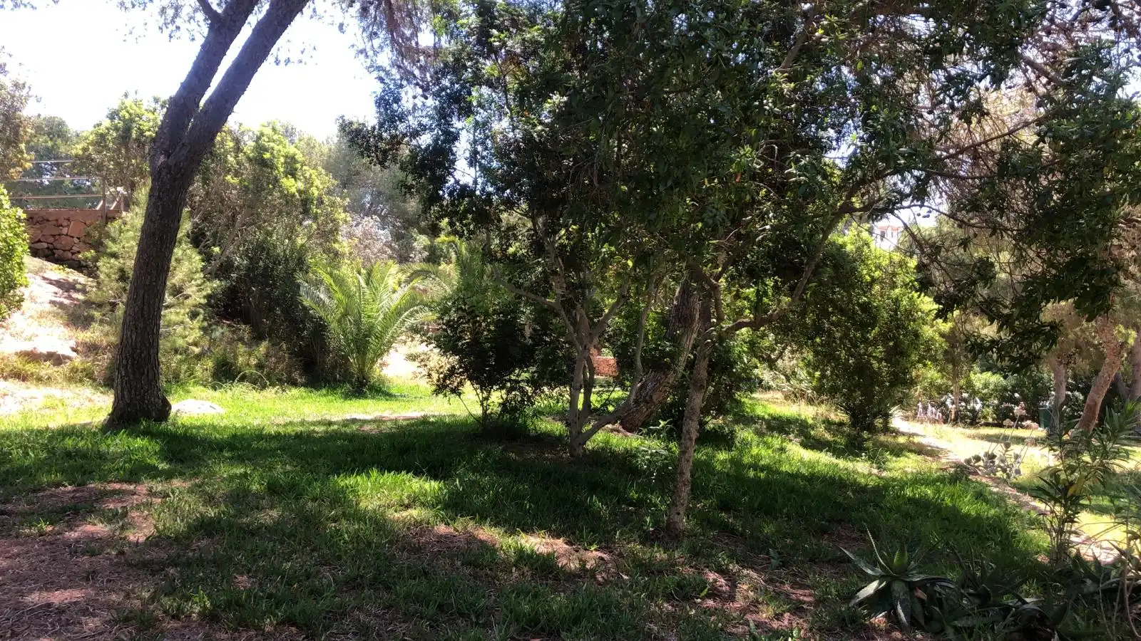Casa o xalet en venda a Cap Martinet