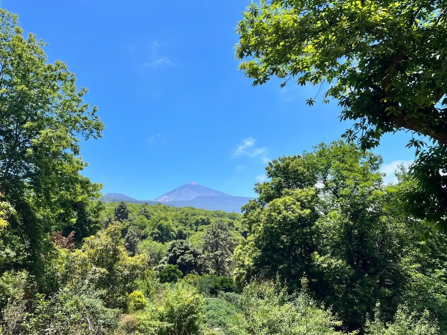 Country homes for sale in El Bebedero - Pinolere - Aguamansa
