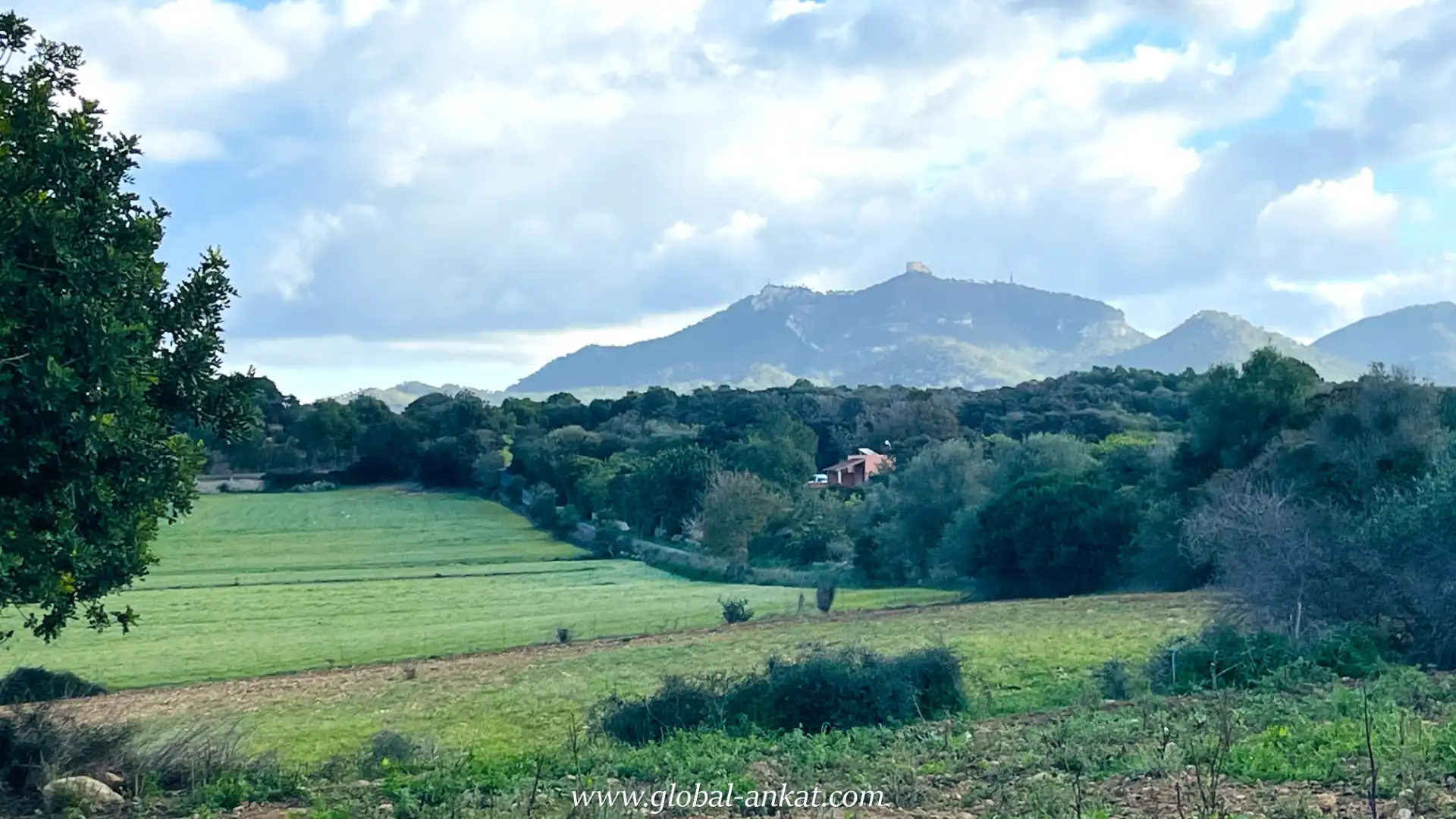 Rural land for sale in Felanitx Poble