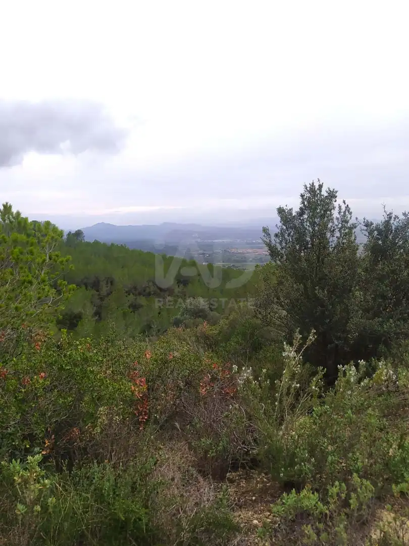 Residential for sale in Ginestar