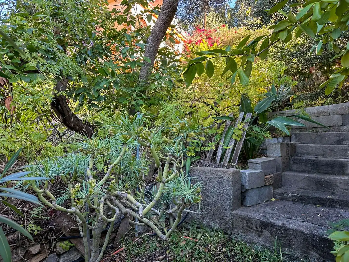 Jardín de Casa o chalet en venta en Almuñécar con Aire acondicionado, Calefacción y Terraza
