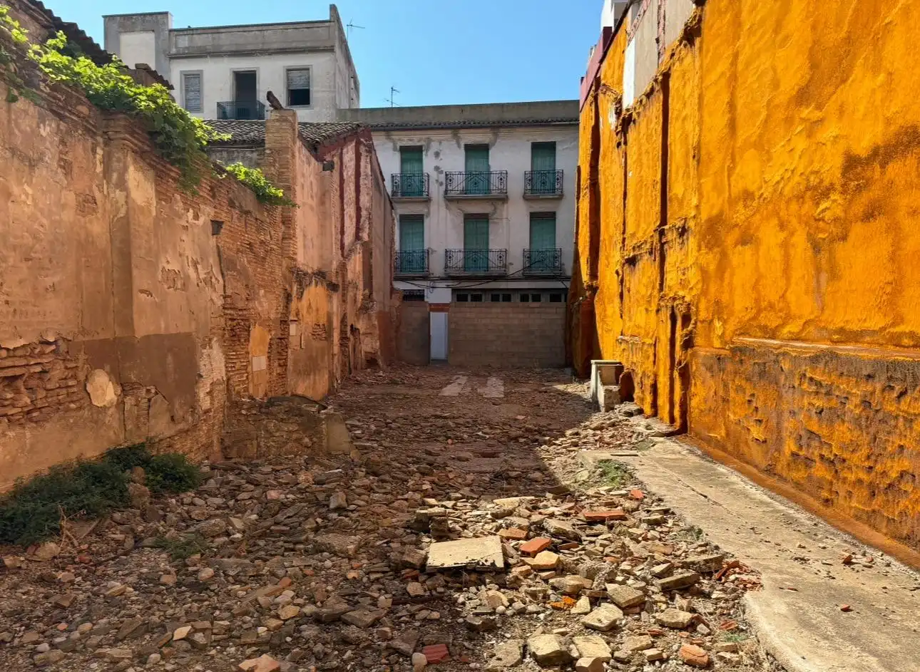 Terreno residenziale in vendita a Algemesí, imagen 3