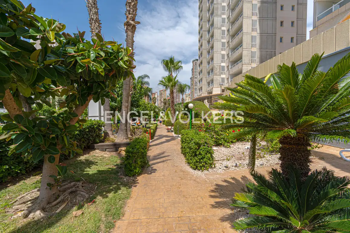 Vista exterior de Àtic en venda en Benidorm amb Aire condicionat, Jardí privat i Piscina comunitària