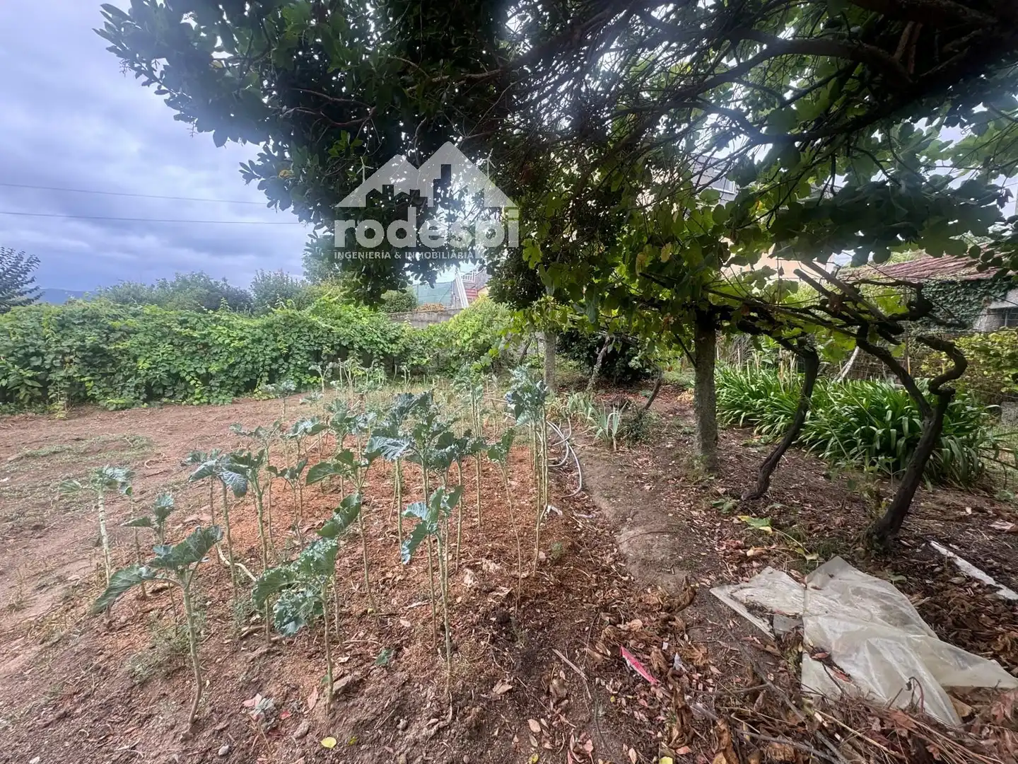 Casa o xalet en venda en Ponteareas