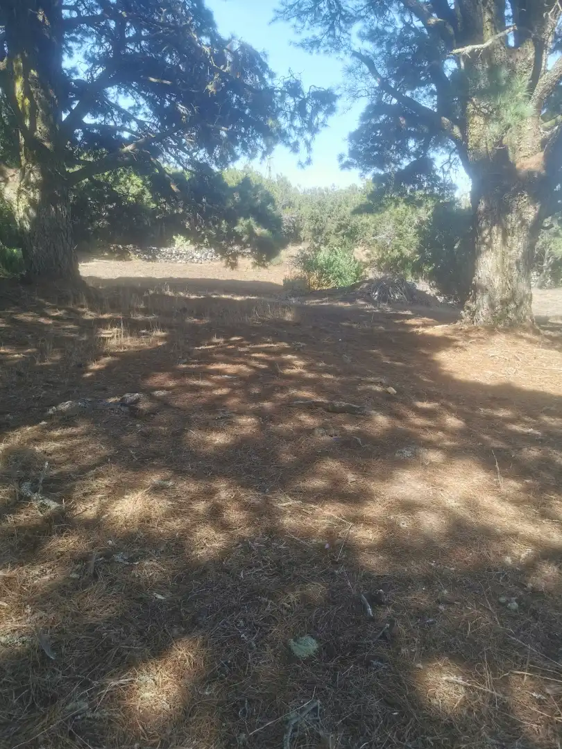 Grundstücke zum Verkauf in El Tanque, Santa Cruz de Tenerife