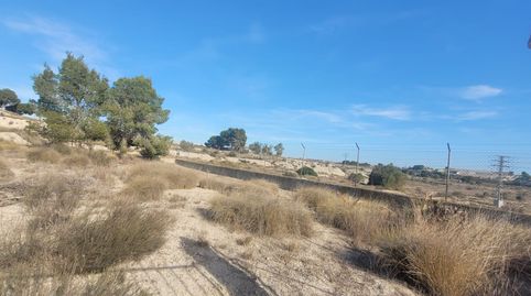 Photo 3 of Land for sale in Molina de Segura - Camino del Panderón, 31, Fátima - El Panderón, Molina de Segura