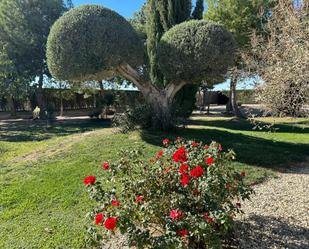 Jardí de Casa o xalet en venda en Lorca amb Terrassa