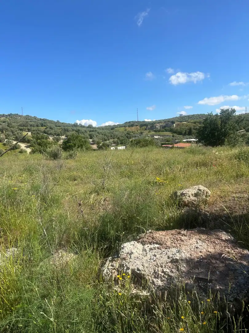 Terrain rustique à vendre à Peligros, imagen 4