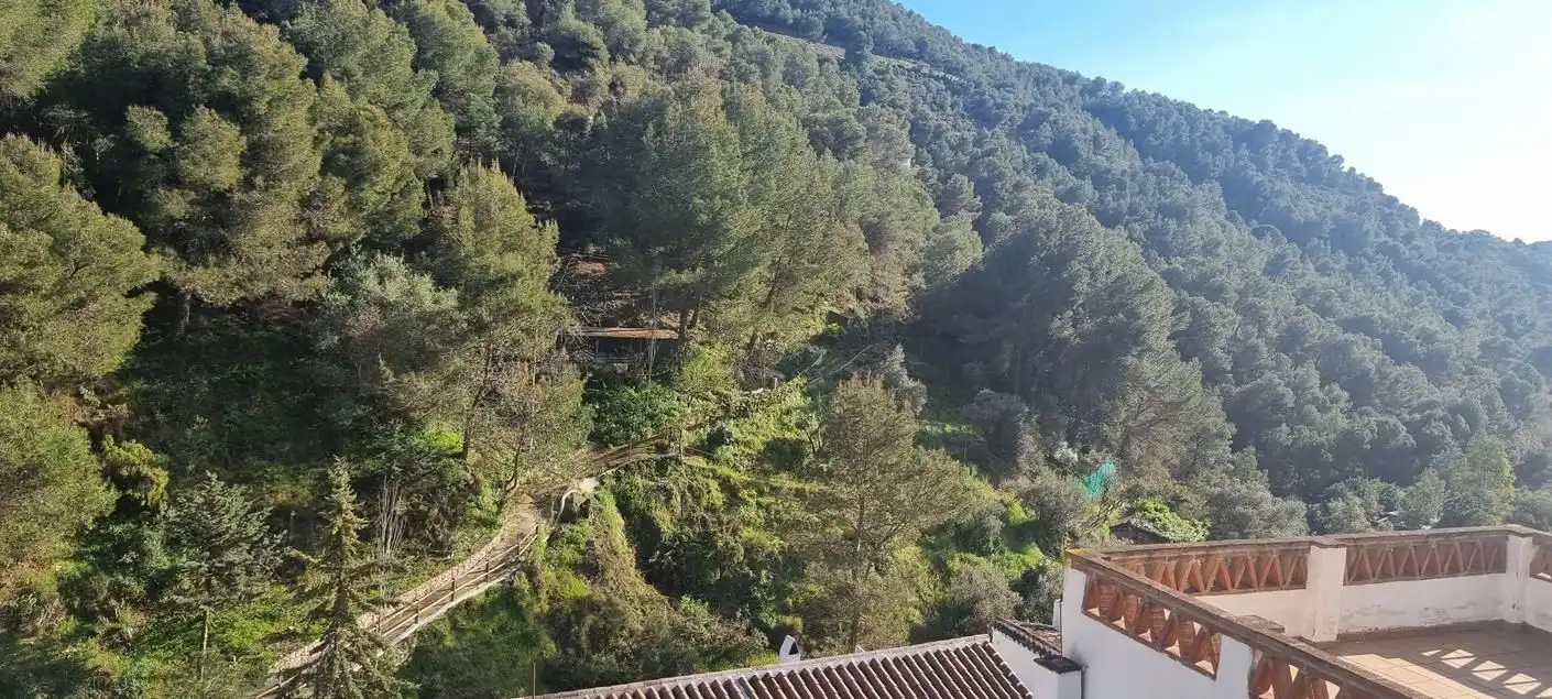 Exterior view of Detached homes for sale in Cómpeta  with Terrace and Swimming Pool