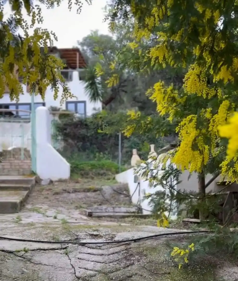 Vista exterior de Finca rústica en venta en Monda con Aire acondicionado, Jardín privado y Terraza