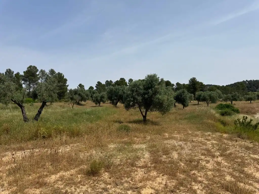 Terreni e lotti in vendita a Mazaleón, imagen 27