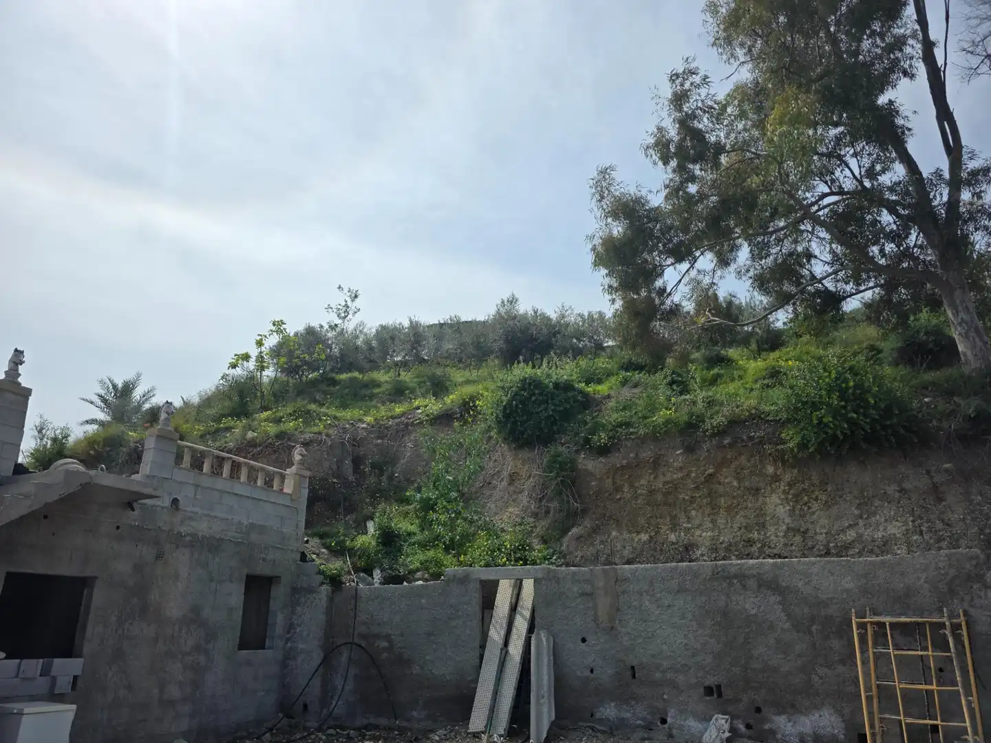 Finca rústica en venda en Cuevas del Almanzora amb Jardí privat i Terrassa