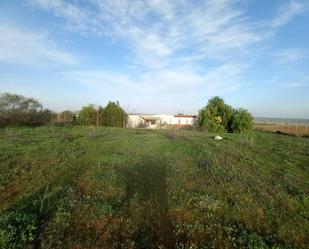 Casa o xalet en venda en Huévar del Aljarafe amb Terrassa i Traster