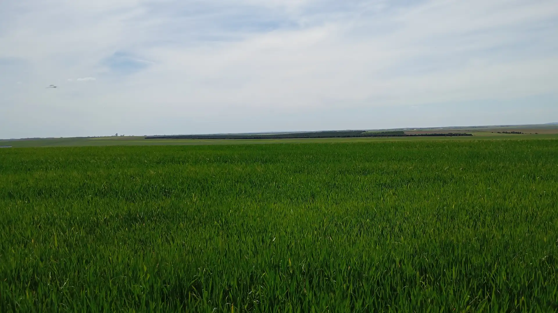 Land for sale in Calle Iglesia, Cantaracillo