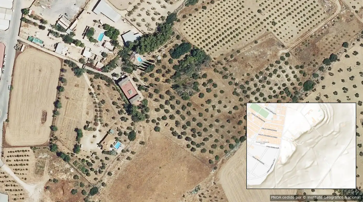Rural land for sale in Mairena del Alcor, imagen 8