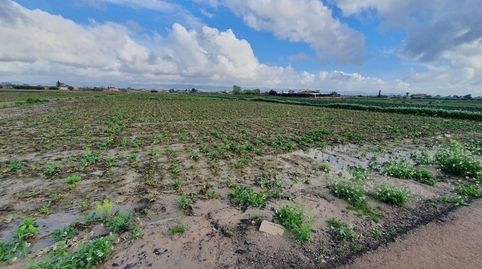 Foto 2 de Terreno en venta en N/a, Campillo, Lorca