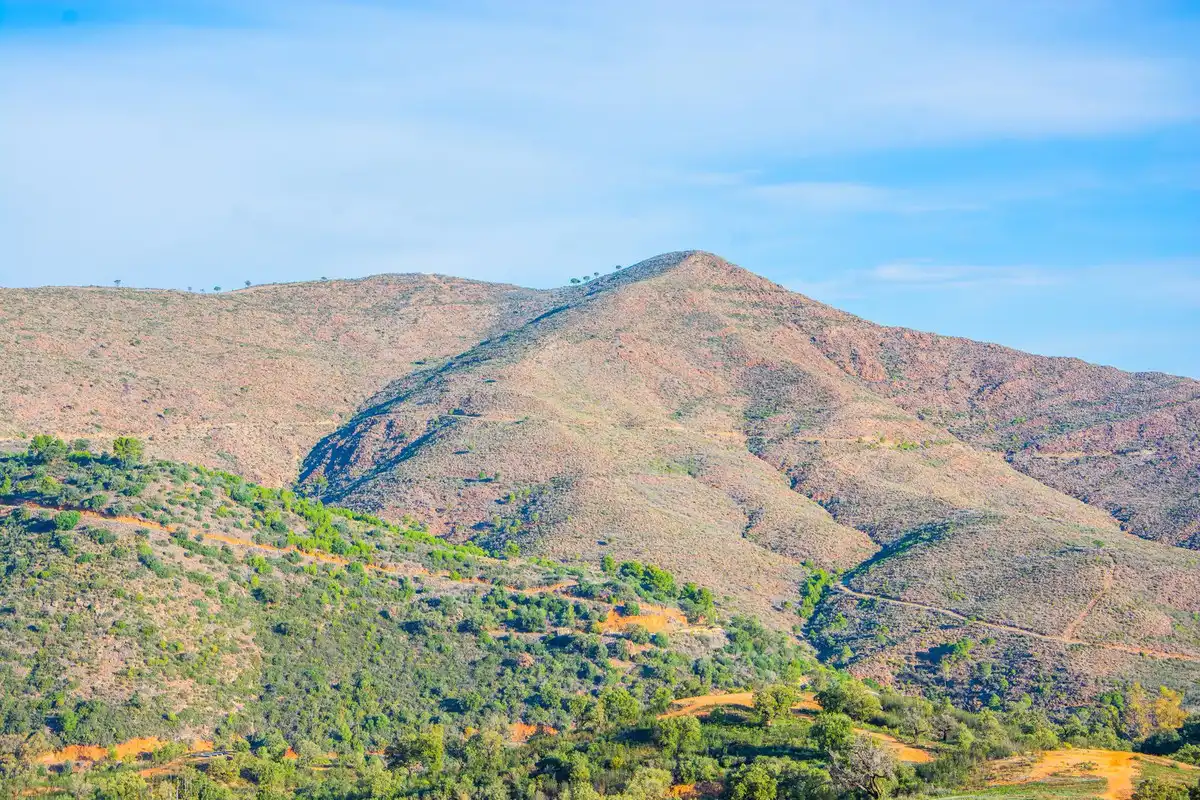 Vista exterior de Finca rústica en venta en Ojén con Terraza, Trastero y Alarma