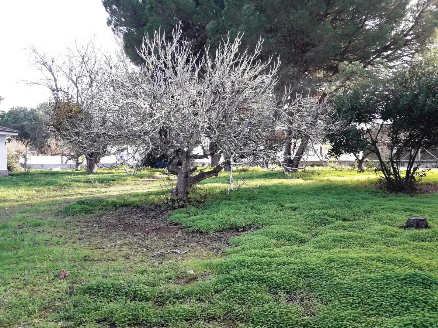 Houses for sale in Chiclana de la Frontera  with Private garden, Terrace and Furnished