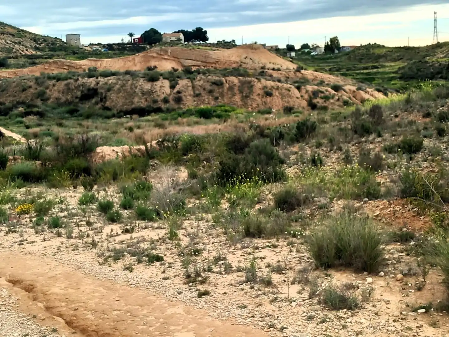 Terreny rústic en venda a Avenida de la Albarda, imagen 6