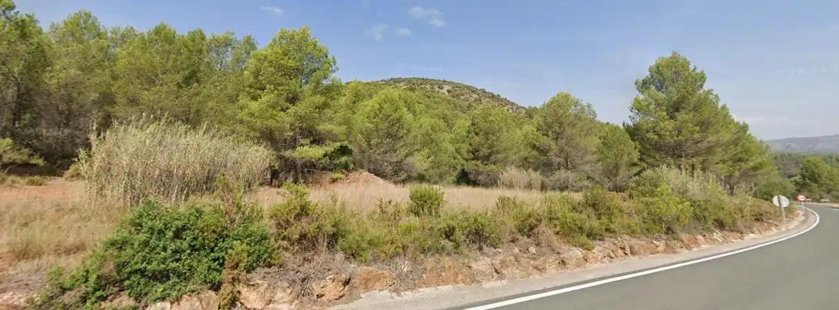 Terreno rustico in vendita a Fanzara