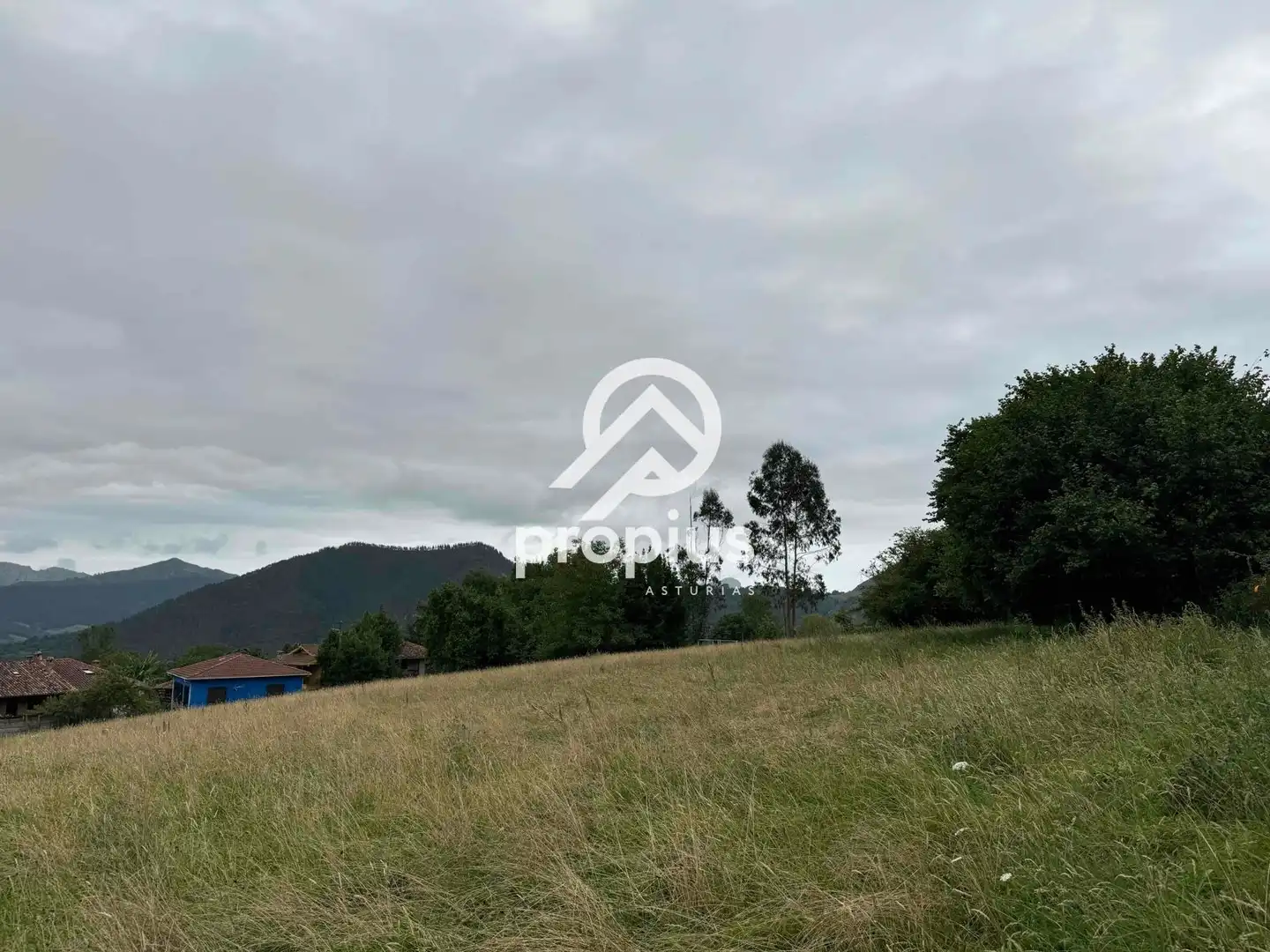 Rural land for sale in Arenas, imagen 8