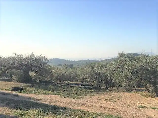 Casa o xalet en venda en Tortosa
